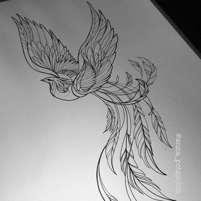croquis du tatouage d'un oiseau chaud pour filles
