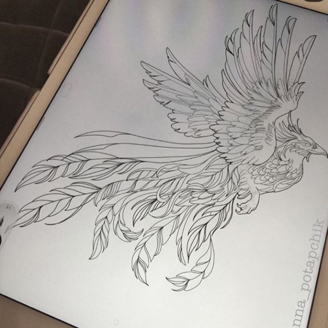 Croquis de tatouage de l'oiseau de feu