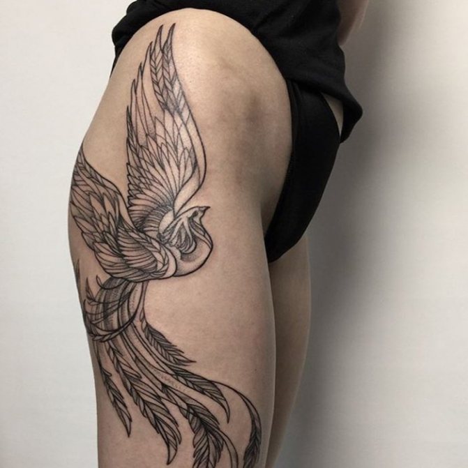 Oiseau de feu tatoué sur le côté femme