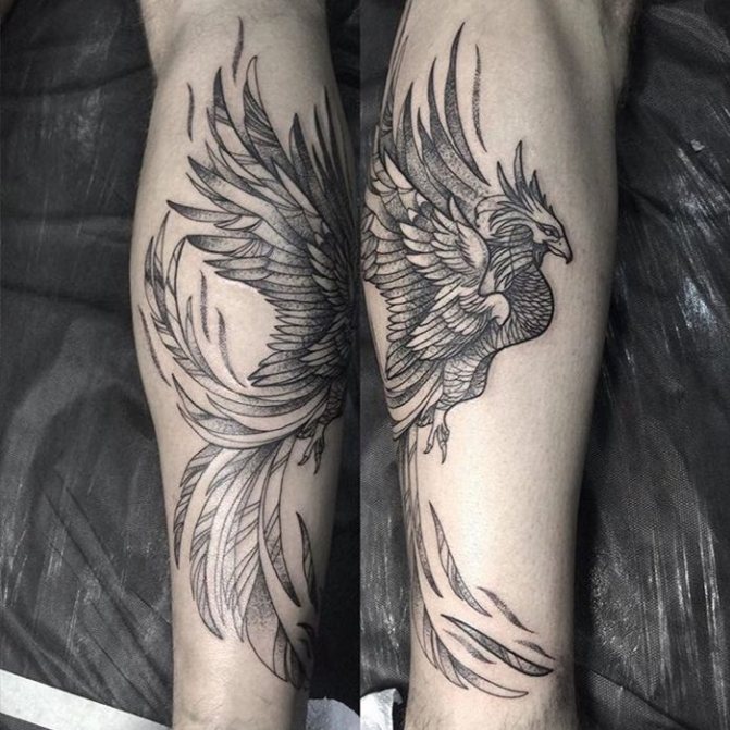Tatouage d'oiseau de feu sur un bras de fille