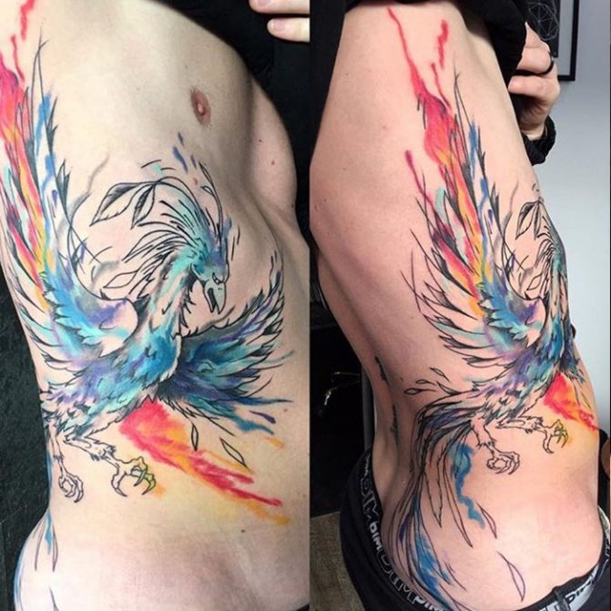 tatouage homme oiseau chaud en couleur tatouage homme