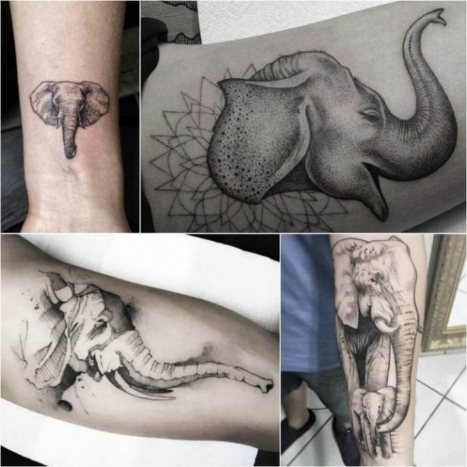 tatouage animaux - tatouage éléphant - tatouage éléphant - tatouage animaux