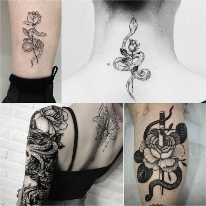 Tattoo serpent - Tattoo serpent et rose - Tattoo serpent