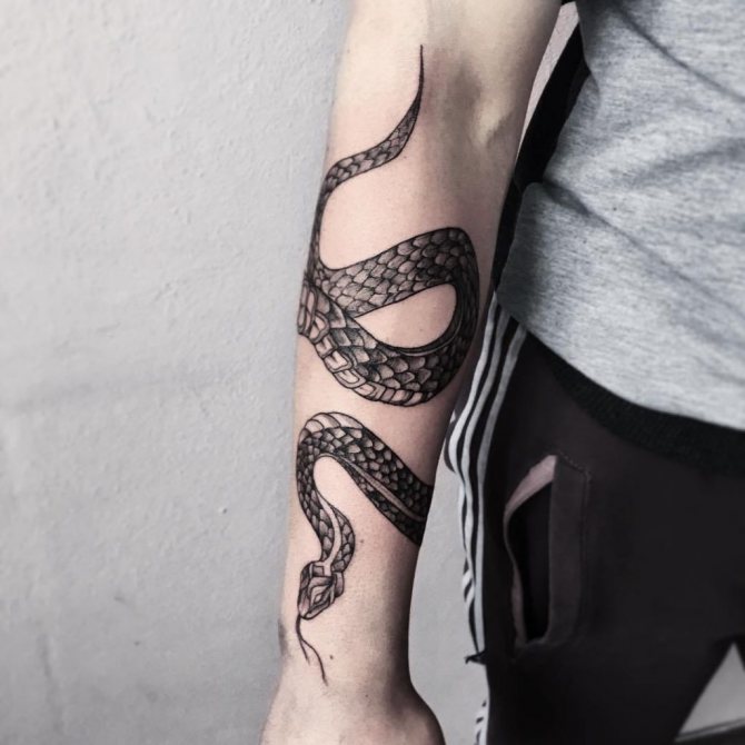 snake tattoo around his arm