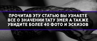 蛇のタトゥーの意味