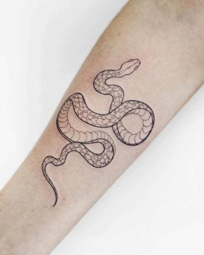 tatouage de serpent - signification du tatouage