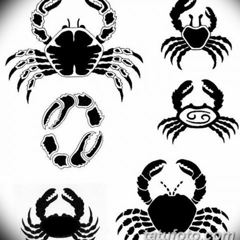 Tätoveeringu tähtkuju krabi meestele: disainilahenduste kollektsioon, fotod