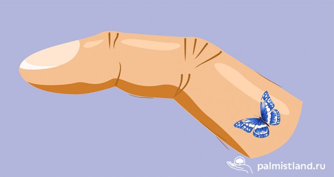 Liblikas tätoveering