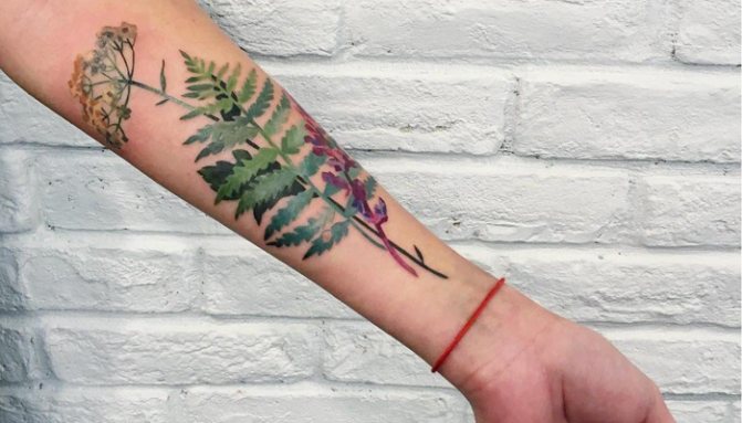 Tatouage de fleurs de fougère