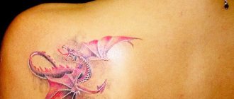 Dragon tattoo. Photos, meaning, sketches for girls, men. Photo