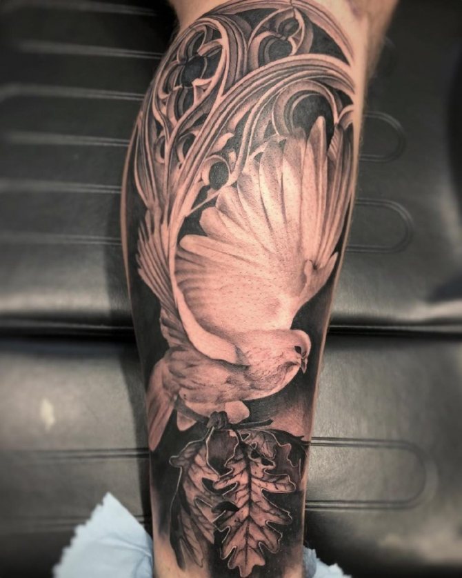 tatouage d'une colombe