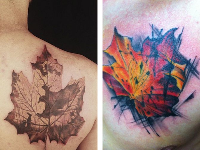 Татуировка на кленов лист и нейното значение