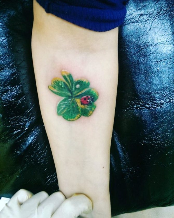 Tätowierung von Klee und Marienkäfer