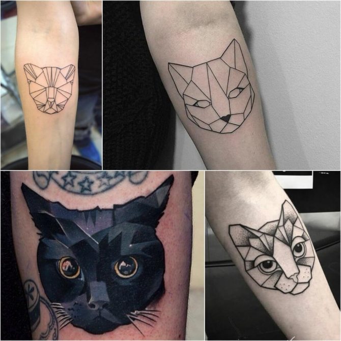 Tatouage - géométrie du chat