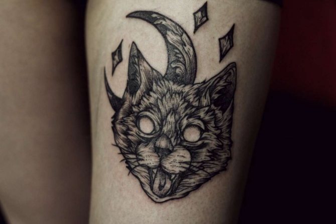 Tatouage d'un chat - symbole de la nuit et de la lune