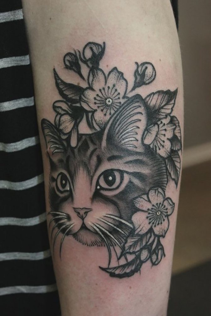 Tatouage de chat avec des fleurs sur son bras