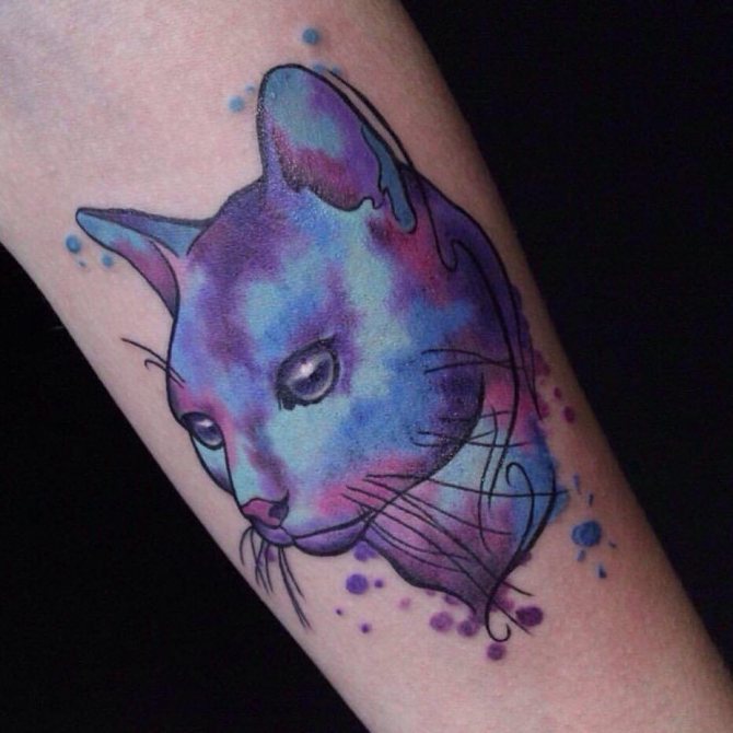 Tatouage de chat en aquarelle