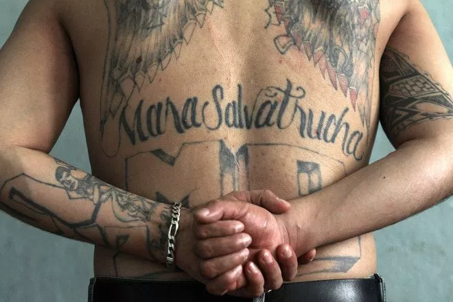 Tatouage Mara Salvatrucha