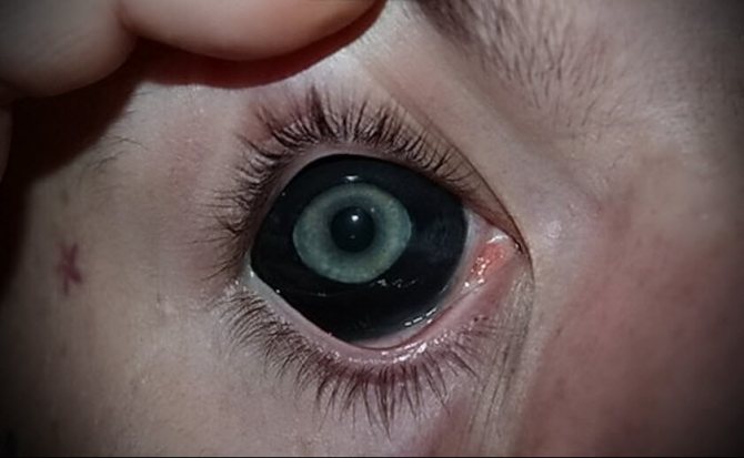 Tatouage d'un globe oculaire noir