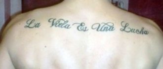 la vida es una lucha (das Leben ist ein Kampf) tattoo auf spanisch