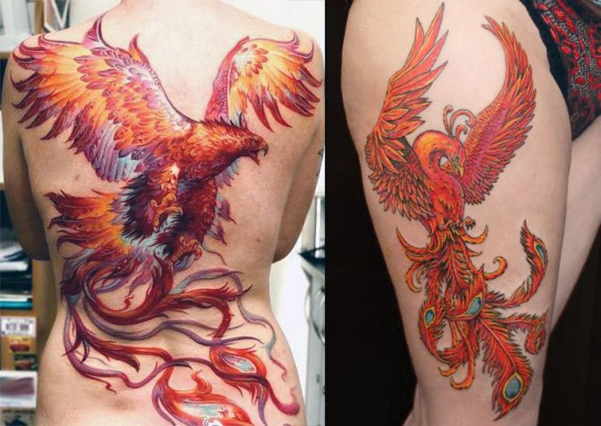 Tatuaje de un fénix en la espalda y en el muslo