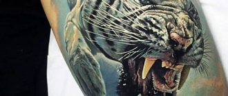 Tigris vigyor tetoválása - kép