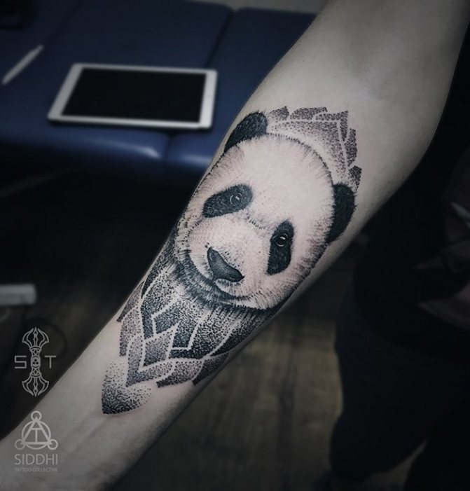 Panda Pünktchen Tattoo auf Unterarm