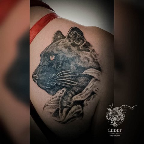 Tatuaje de pantera en la clavícula