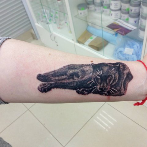 Tatuaje de pantera en el antebrazo