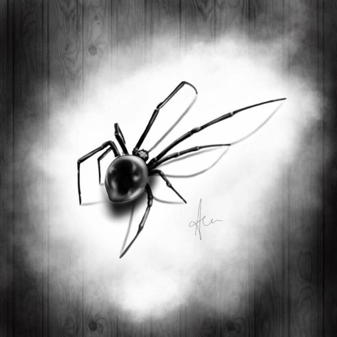 Signification du tatouage de l'araignée