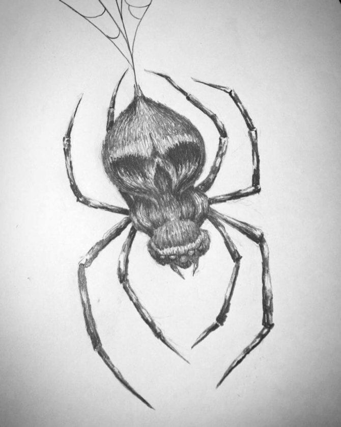 Signification du tatouage de l'araignée