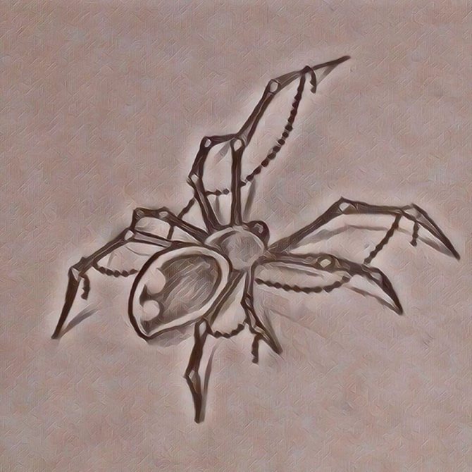 Signification du tatouage de l'araignée