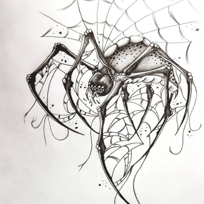 Signification du tatouage de l'araignée