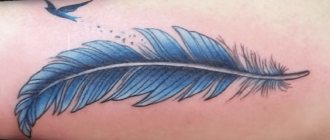 feather tattoo