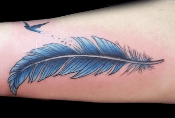 Tatuaje de una pluma