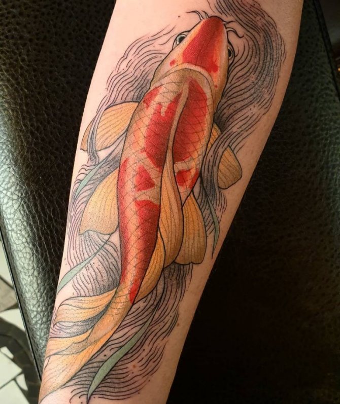 fish tattoo