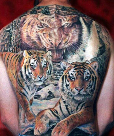 Tatouage d'un tigre sur le dos