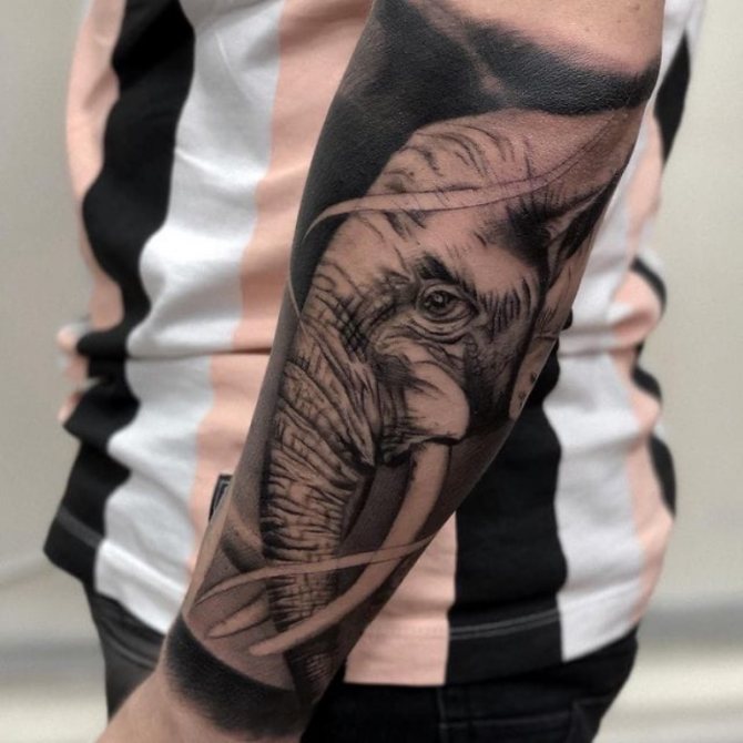 tatuaje de elefante en la mano