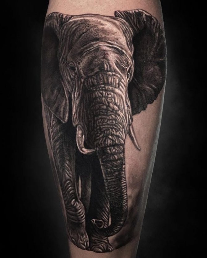 significado del tatuaje del elefante