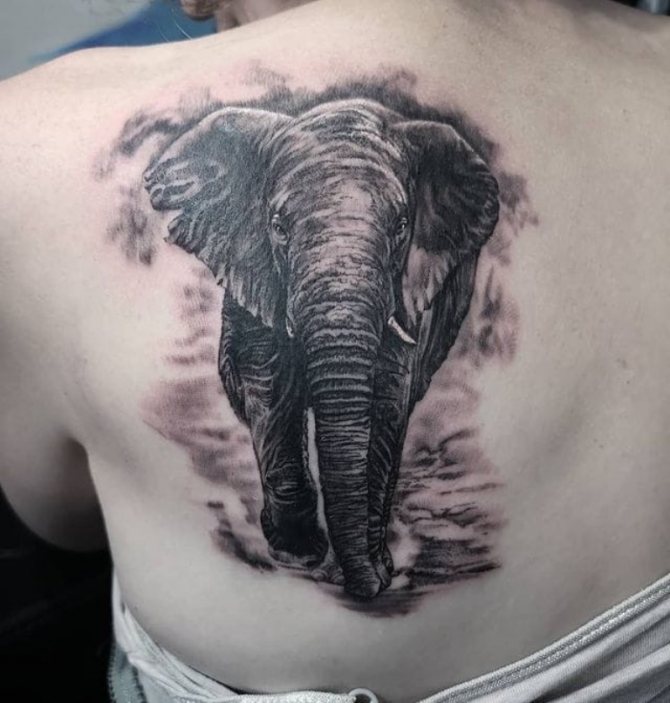 tatuaje de elefante