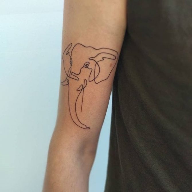 tatuaje de elefante