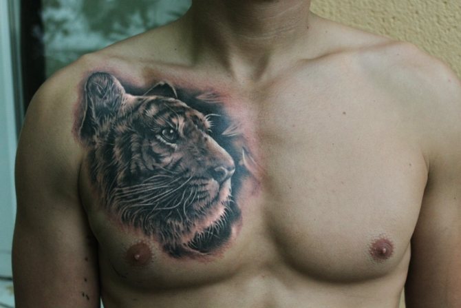 tatouage de tigre