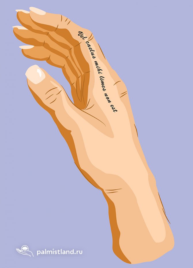 Tetování Vel caelus mihi limes non est