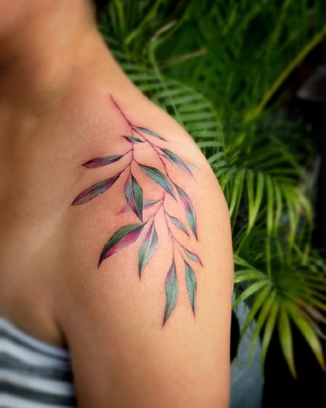 tatuaggio ramo d'ulivo