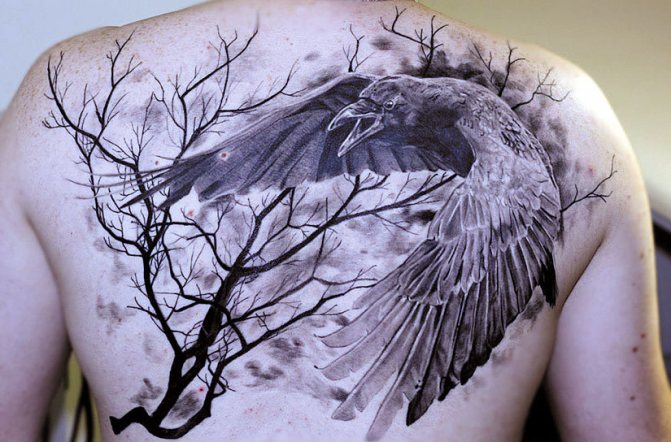 Tatouage - corbeau