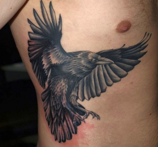 Corbeau tatoué sur le côté
