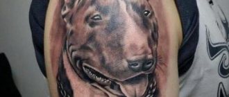 男性用タトゥー