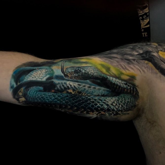 tatouages de cobra