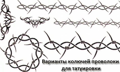 Tatouages sur le cou pour les hommes. Photos, idées, croquis, dessins, tatouages cool et magnifiques, inscriptions