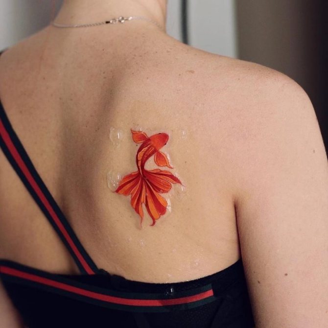 tatouages de poissons